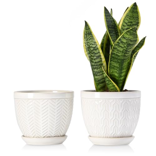 6.5 Inch Ceramic Plant Pots Set of 2 (Glazed White / 6.5 inch)