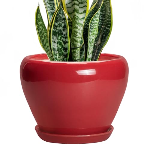 Ceramic Planter for Indoor Plants (8 Inch / Glossy Red)