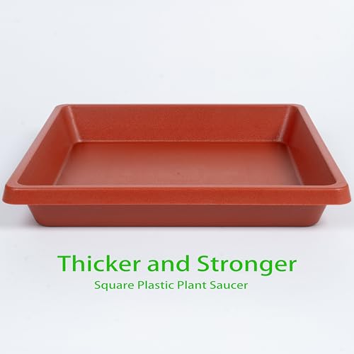 Square Plant Saucer 14 Inch 2 Pack (14"(2Pack) / Terra Cotta)