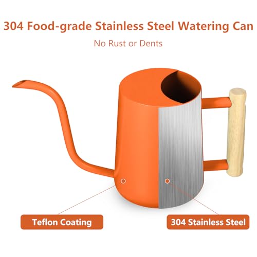Watering Can Indoor Plants (Orange)