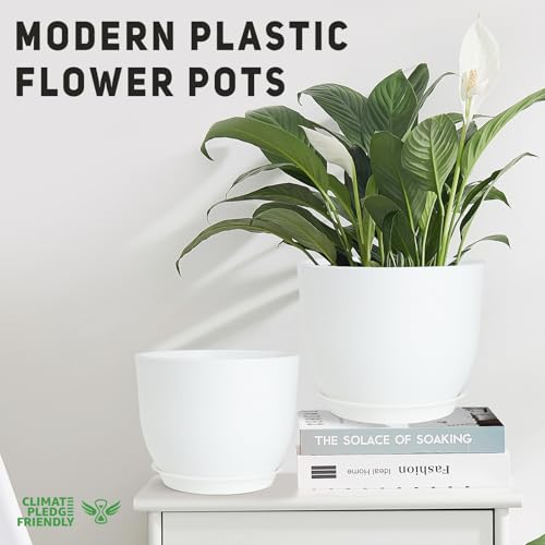 Plant Pots 10 (5 Count)
