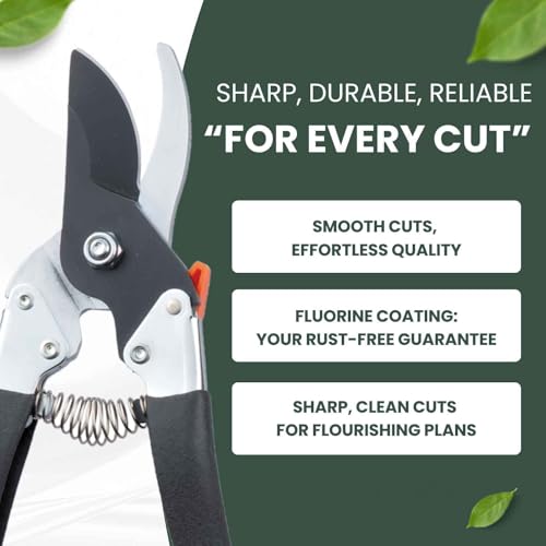 Saboten Japanese Pruning Shears 7.9"
