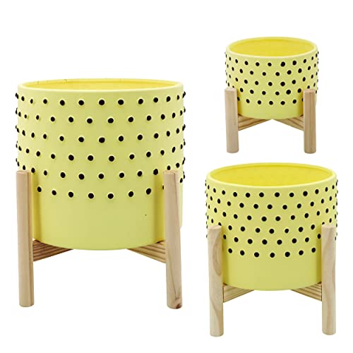 Ceramic Planter Pot with Wooden Stand