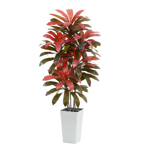Artificial Dracaena Tree (Burgundy – White Pot / 6FT)