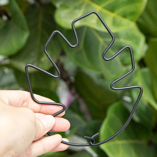 5.5×4.7IN Monstera Plant Stem Support (Black / 5.5IN*4.7IN)