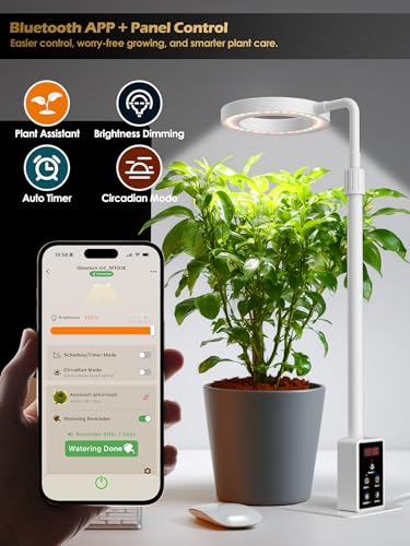 Smart Grow Lights for Indoor Plants