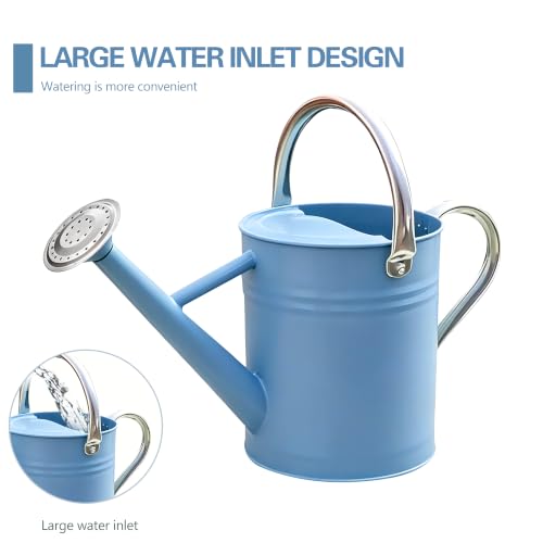 Metal Watering Can for Outdoor and Indoor Plants (Blue)