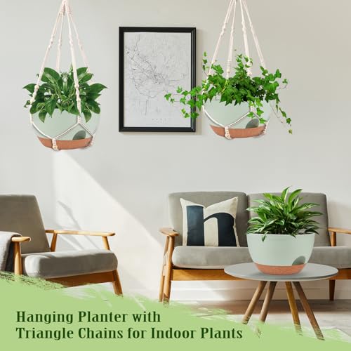 2 Pack 12 Inch Self Watering Hanging Planters for Indoor Outdoor Plants (2 Type Plant Hangers Green / 12 Inch)