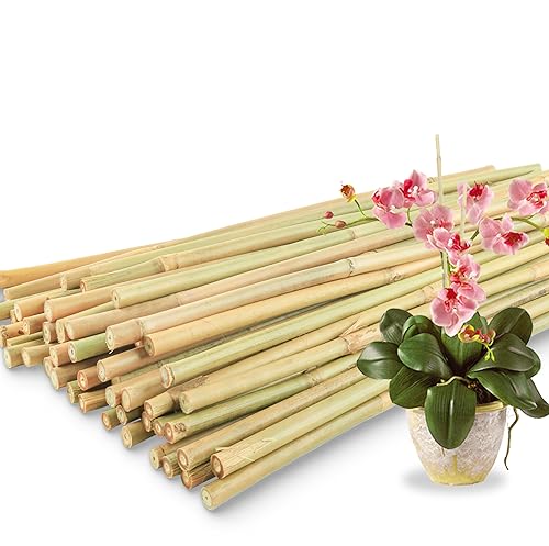 50Pcs 18 inch Bamboo Plant Stakes for Indoor Outdoor Plants (50 Count)