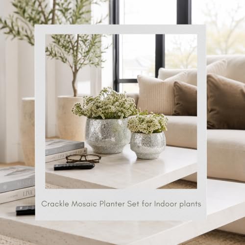 Flower Pots and Planters for Home Decor (2 Count)