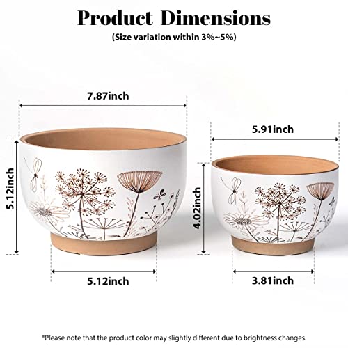 Terracotta Pots (2 Count)