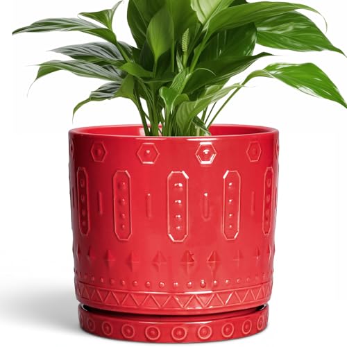 Ceramic Plant Pots (8 Inch / Red)