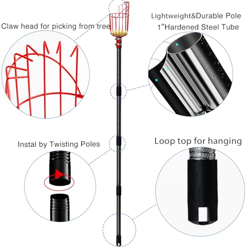 Fruit Picker Pole Tool with Basket Telescoping (35-170")