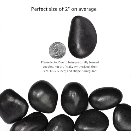10 lbs Black River Rocks