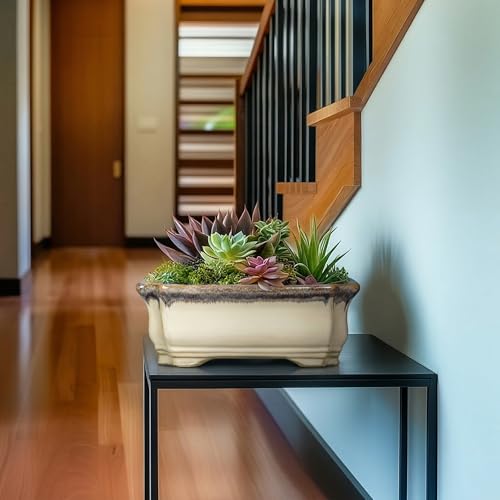 11.6 Inch Succulent Pots (11 Inch / Rectangular Beige-brown)