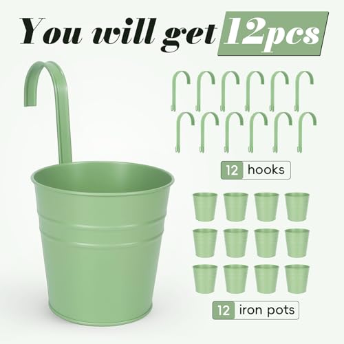 Hanging Flower Pots (Green(5in))