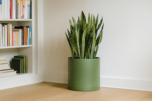 Plastic Planter Pot with Saucer (14 Inch / Olive)