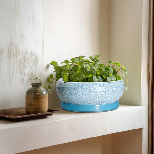 Succulent Pots 8 Inch (8 Inch / Blue-white)