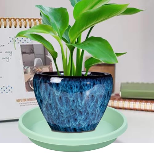 Plastic Plant Saucers 10 Inch Round Pack of 2 Thick Reusable Drip Trays for Indoor Outdoor Plants (10" (2 Pack) / Light_green)