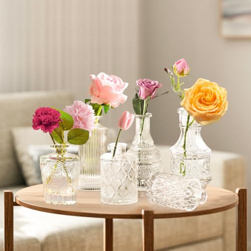 Bud Vases in Bulk 24 (24 Count)