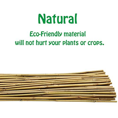 3 Feet Natural U (3 Feet)