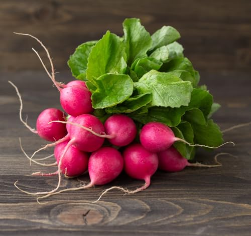 625+ Purple Plum Radish Seeds for Planting