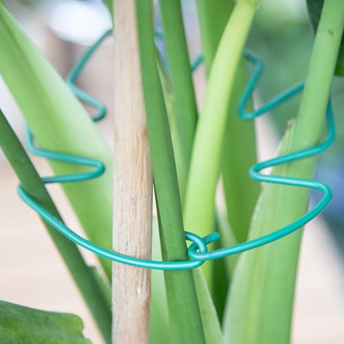 Green Monstera Plant Stem Support (Green / 5.5IN*4.7IN)