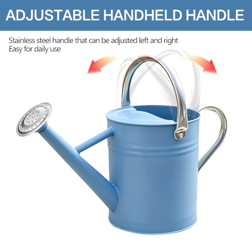 Metal Watering Can for Outdoor and Indoor Plants (Blue)