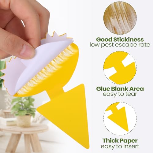 200 Sheets Fruit Fly Sticky Traps for Fruit Fly Gnat Trap for House Indoors Sticky Traps Catcher for Gnats Fungus Gnats Mosquito Catcher for Kitchen Outdoor Plants (Yellow, Green / Cute Style)