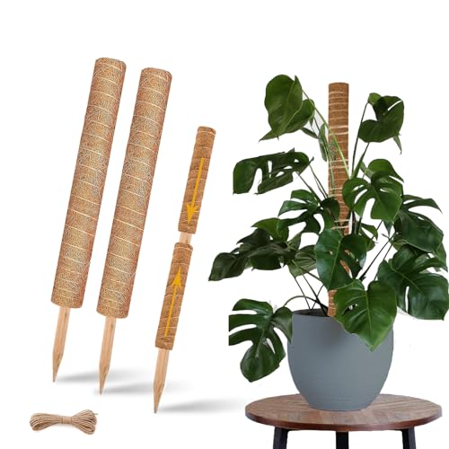 Moss Pole 2 Pack 17 Inch Monstera Plant Support for Climbing Plants Accessories Indoor (2 Count)