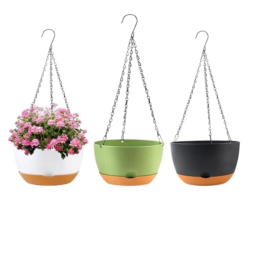 10 inch Hanging Planters (Multicolor / 10 inch)