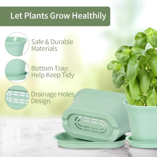 Set of 6 Windowsill Herb Garden Planters Green w (Green)