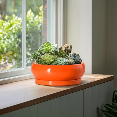 Bonsai Pots 13 Inch Ceramic Succulent Pots with Drainage Hole and Saucer (13 Inch / Orange)