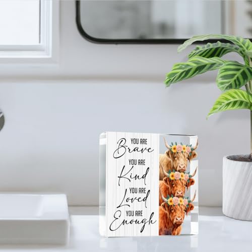 Highland Cow Gifts You are Brave Kind Loved Enough Positive Inspirational Highland Cow Acrylic Sign Gifts for Friends Inspirational Decorations Gift 4x4 Inch (Brave)