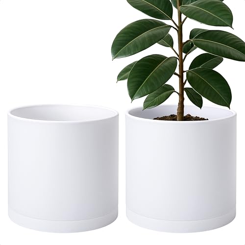 2 Pack White Plastic Planters with Saucers (2 Count)