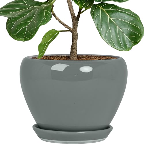 10 Inch Plant Pot (Gray / 10 Inch)