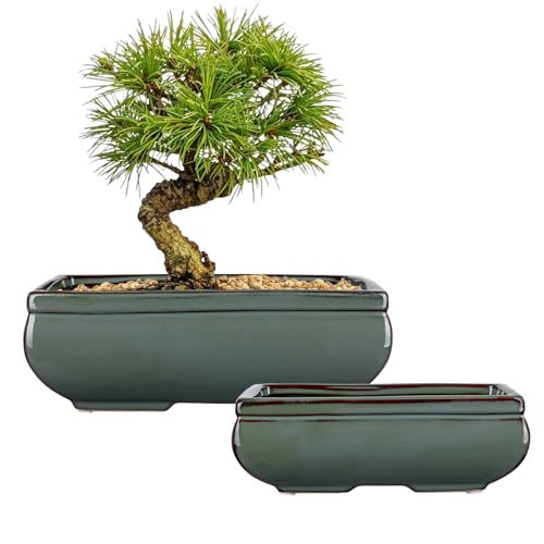 Set of 2 Large Bonsai Pots with with Drainage Hole (Green / 10"x7"x3.3"&7.4"x5.1"x2.5")