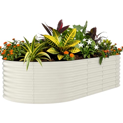 8x4x2ft Galvanized Raised Garden Bed (Beige-oval / 8x4x2ft)