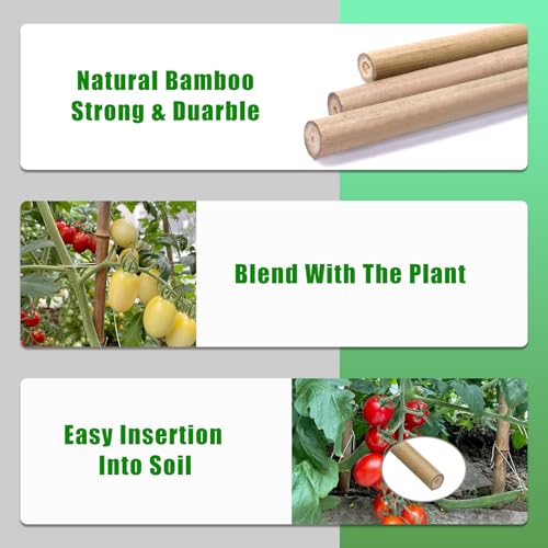 Bamboo Stakes