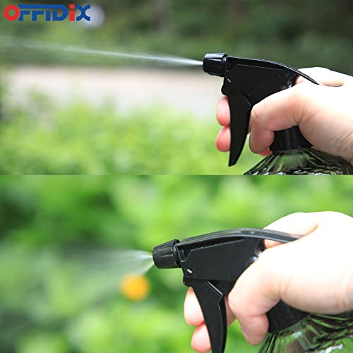 Glass Spray Bottle