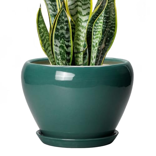 8 Inch Plant Pot (8 Inch / Green)