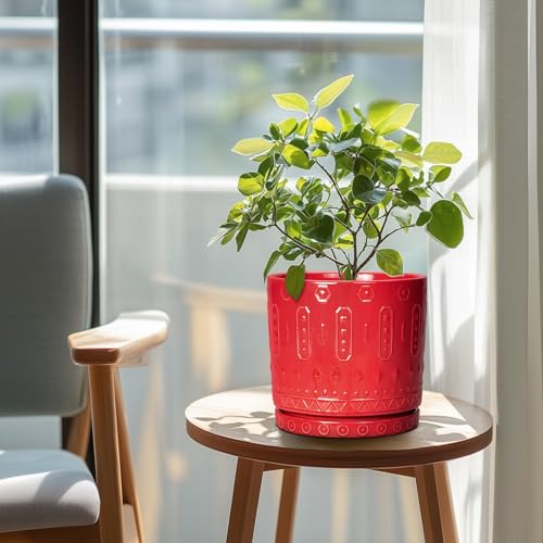 Ceramic Plant Pots (8 Inch / Red)