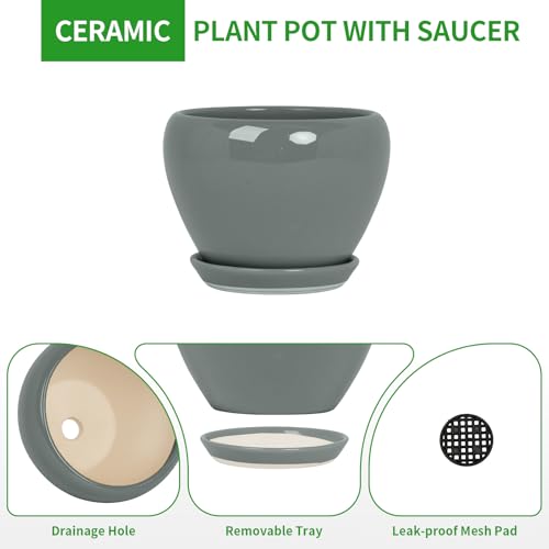 10 Inch Plant Pot (Gray / 10 Inch)