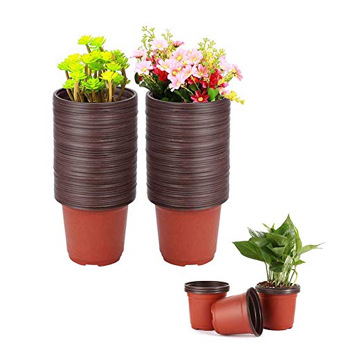 100 Pcs 3.5 Inch Plastic Seedlings Plants (100 Pcs 3.5 Inch)