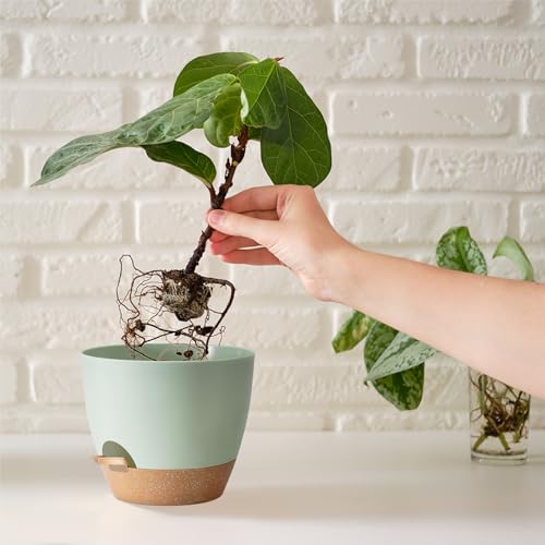 Self Watering Plant Pot with Drainage Hole (7 Count)