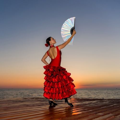 Large Folding Hand Fan for Line Dance (Silver)