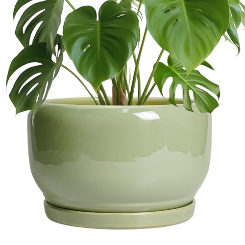 Ceramic Planter