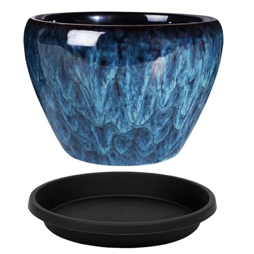 5 Pack Plant Saucer 8 Inch