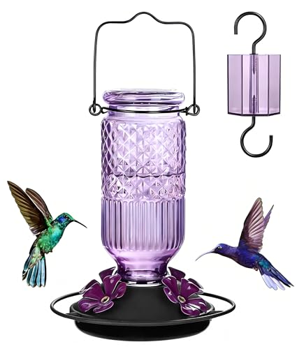 Glass Hummingbird Feeder for Outdoors Hanging (Purple)