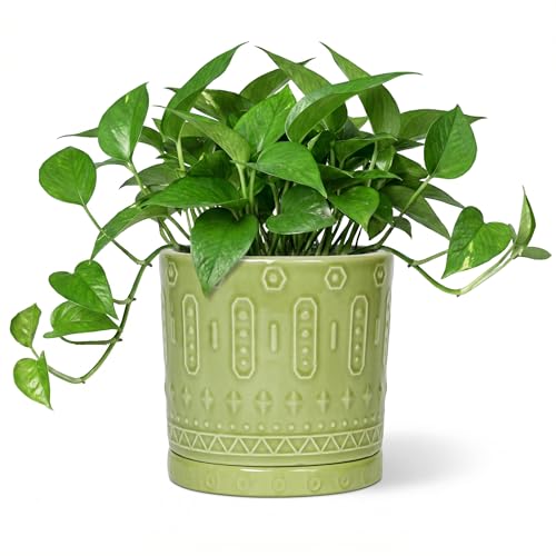 Ceramic Flower Pots (6 Inch / Green - 2)
